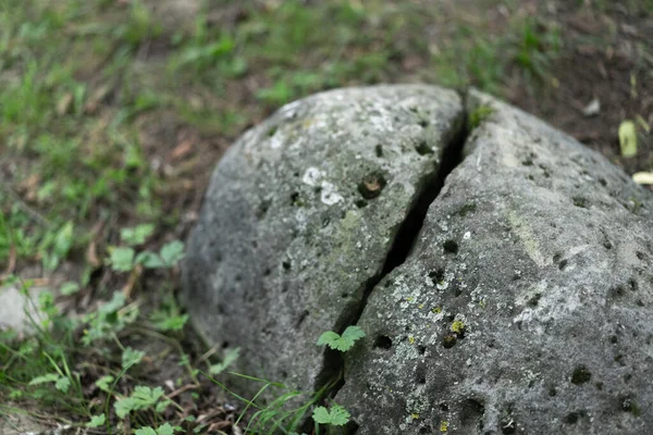 Pedra Dividida Duas Metades — Fotografia de Stock