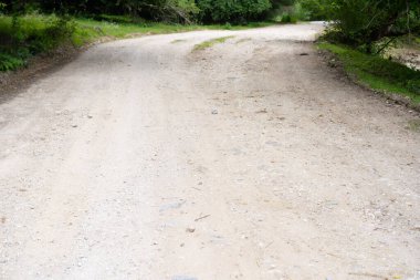 Ormandaki yolu çeviriyorum.