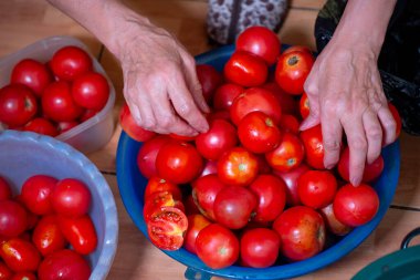 Pişirmek için olgun domatesleri ayır.