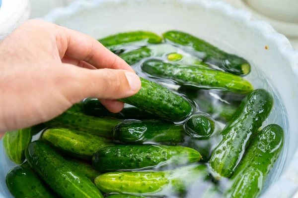 Cooking fresh pickled cucumbers in water