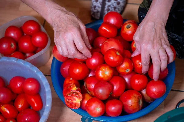 Sorteer Rijpe Tomaten Koken — Stockfoto