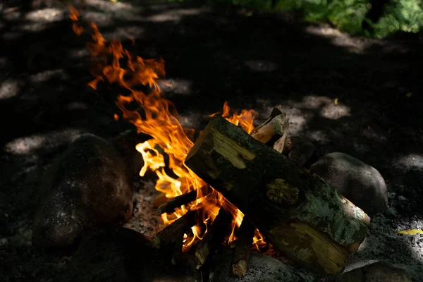 Vuur Van Houten Takken Grond — Stockfoto