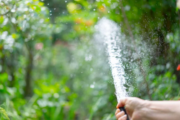Slangvatten För Vattning Växter — Stockfoto