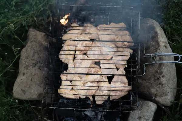 Kawałki Mięsa Grillowane Węglu Drzewnym — Zdjęcie stockowe