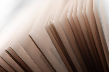 Işık huzmeleri içinde açık bir kitabın sayfaları