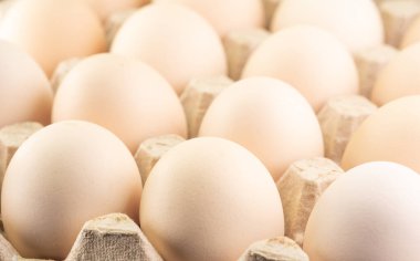 Yumurtalar hücrelerde.