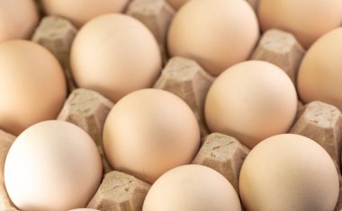 Yumurtalar hücrelerde.