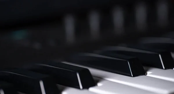 Piyano Anahtarları Beyaz Siyah — Stok fotoğraf
