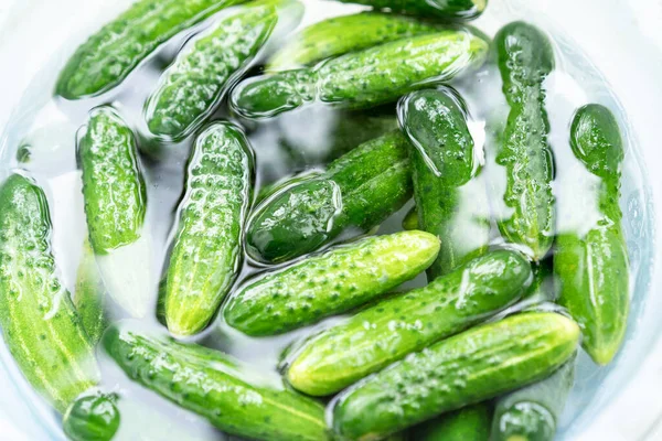 Green ripe cucumbers in water