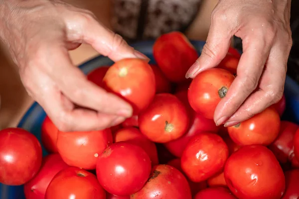 Tomates Pequenos Maduros Vermelhos — Fotografia de Stock