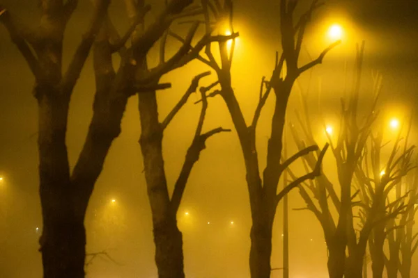 Туман Ночью Свет Фонарных Столбов — стоковое фото