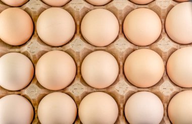 Arkaplan olarak bir pakette yumurtalar