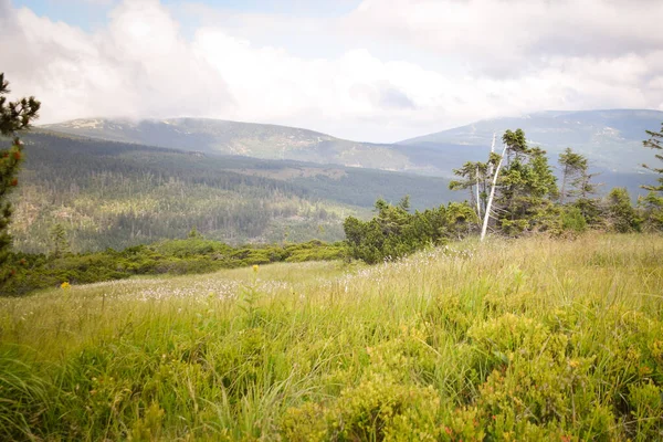 Incredibile Natura Ceca Nella Nostra Montagna Krkonose Meraviglioso Paesaggio Altopiano — Foto Stock