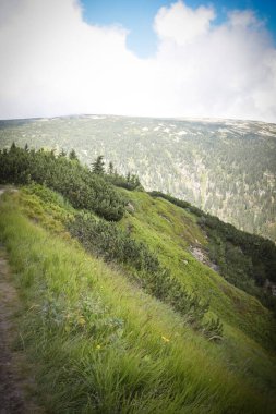 Krkonose dağımızda inanılmaz bir teknoloji doğası var. Uçurumu olan harika bir dağ manzarası. Ağaçlar her yerde. Temiz hava ve muhteşem manzara..