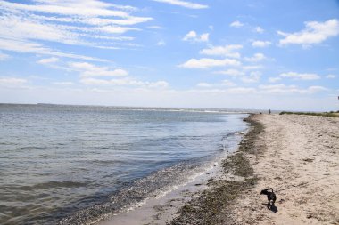 Almanya 'nın doğa plajlarından biri, hiç insan yok, güzel doğa. Çok sakin ve sessiz.