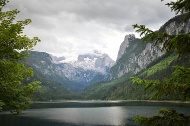 Dachstein Buzul arka planıyla Gosausee (Vorderer) gölünün şaşırtıcı yaz doğası. Doğa konseptinin güzelliği.