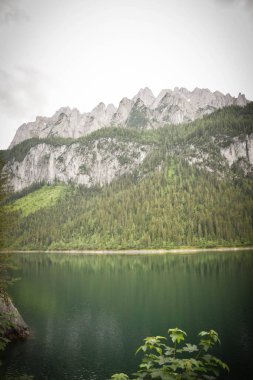 Dachstein Buzul arka planıyla Gosausee (Vorderer) gölünün şaşırtıcı yaz doğası. Doğa konseptinin güzelliği.