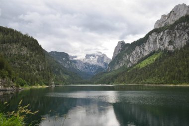 Dachstein Buzul arka planıyla Gosausee (Vorderer) gölünün şaşırtıcı yaz doğası. Doğa konseptinin güzelliği.
