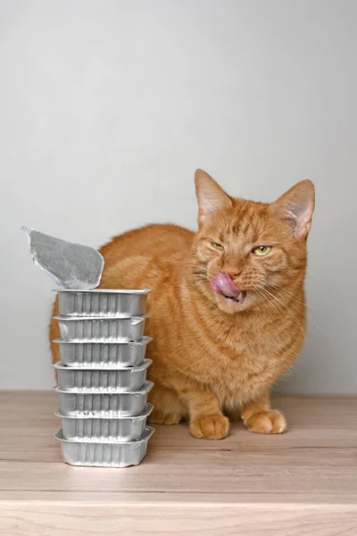 Gato Gengibre Engraçado Lambendo Seu Rosto Lado Tigelas Comida Mesa — Fotografia de Stock