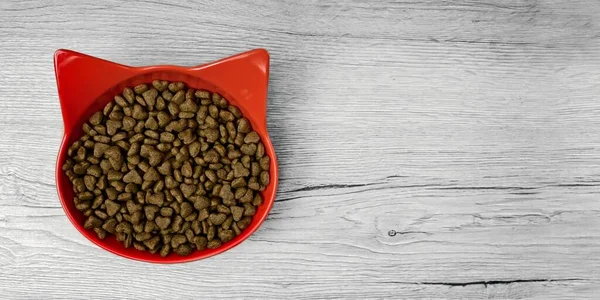 Tazón Forma Gato Rojo Lleno Comida Seca Para Mascotas Sobre — Foto de Stock