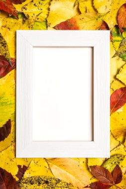 Düşen yaprakların parlak ve renkli sonbahar çerçevesi reklam için beyaz fotokopi alanı ile.