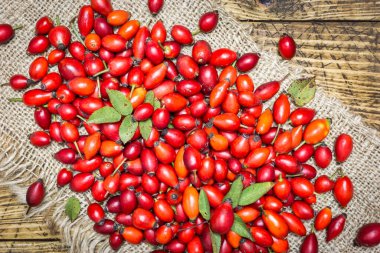 Yeni toplanmış gül kalçası meyvelerinin yakın plan fotoğrafı, üst manzara. Doğal organik ürünler.