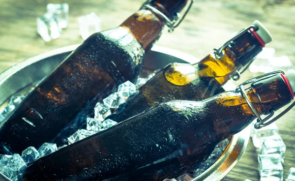 Bottles of beer in ice cubes — Stock Photo, Image