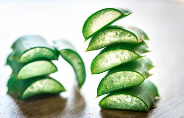 Taze yaprakları aloe vera