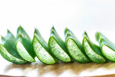 Taze yaprakları aloe vera