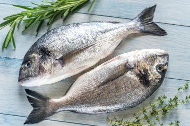 Dorade Royale balık