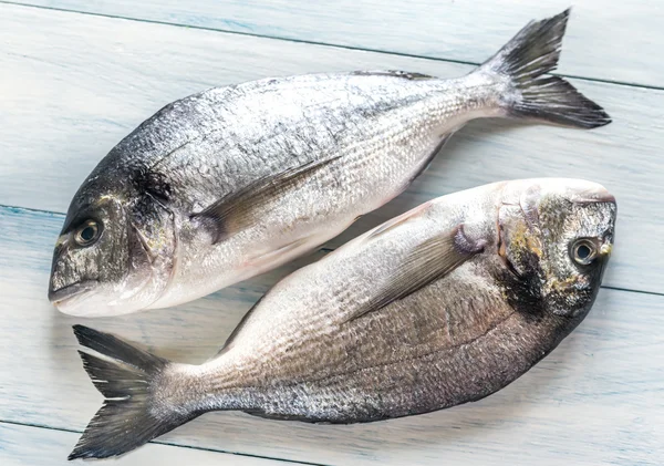 Dorade Royale balık