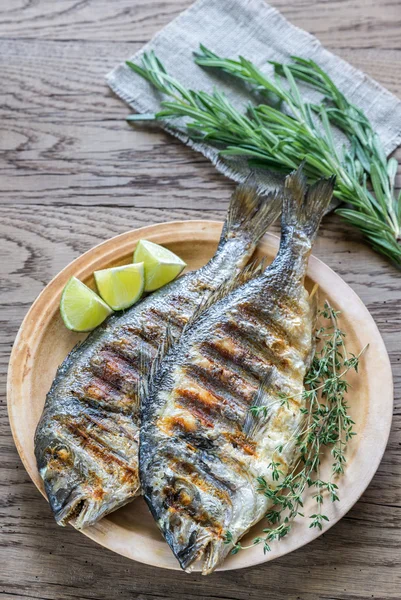 Grillad Dorade Royale fisk — Stockfoto