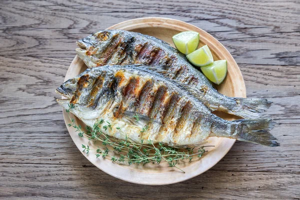 Grillad Dorade Royale fisk — Stockfoto