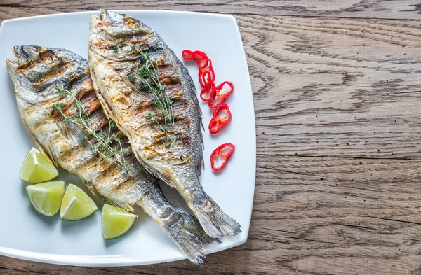 Dorade Royale pescado a la parrilla en el plato —  Fotos de Stock