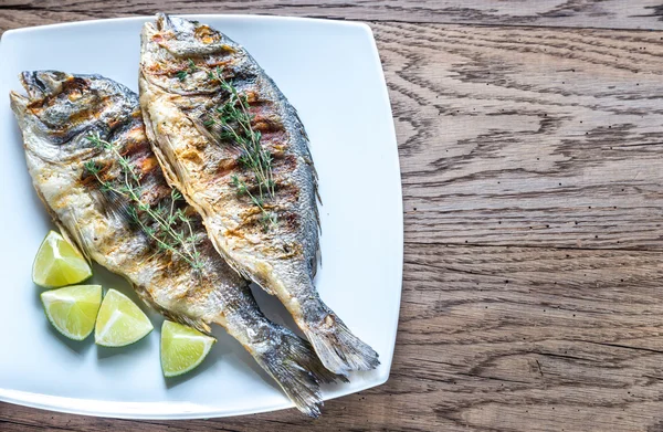 Dorade Royale pescado a la parrilla en el plato —  Fotos de Stock