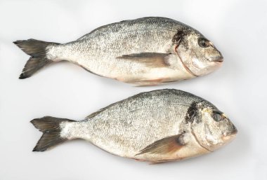 Beyaz arka planda taze dorada balığı