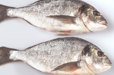 Beyaz arka planda taze dorada balığı