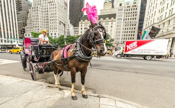 Grand Army Plaza (Manhattan) — Stock Photo, Image