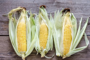 ahşap tahta üzerinde ham Mısır