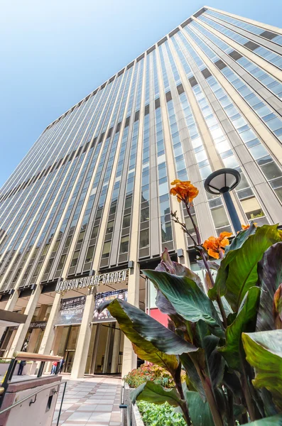 Madison Square Garden — Stock Photo, Image