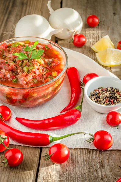 Mexikói szósz salsa alapanyagokból — Stock Fotó