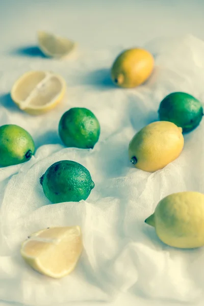 Lemons and limes on the white background — Stock Photo, Image