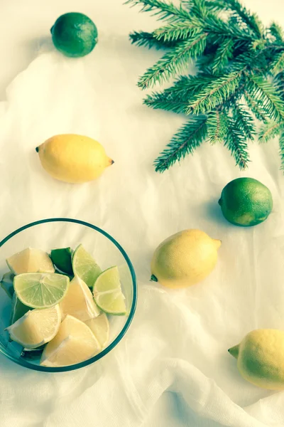 Lemons and limes with fir branch on the white background — Stock Photo, Image
