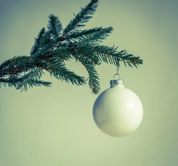 Christmas tree förgrena sig isolerade — Stockfoto