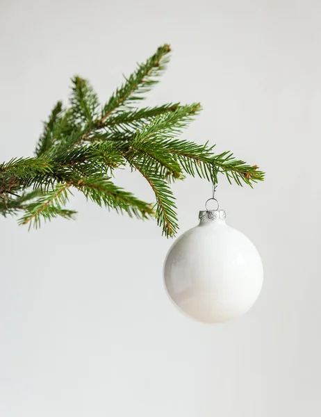 Christmas tree branch geïsoleerd — Stockfoto