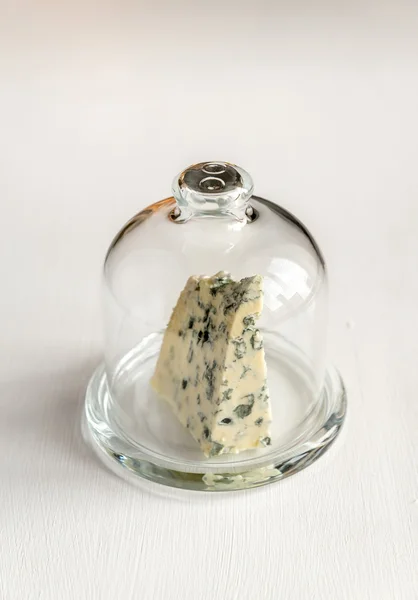 Blue cheese under the glass dome — Stock Photo, Image