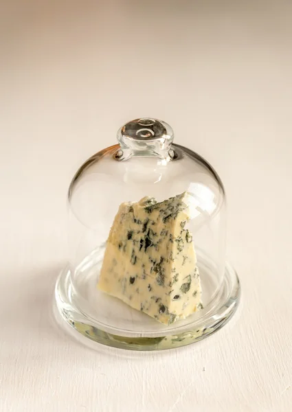 Blue cheese under the glass dome — Stock Photo, Image