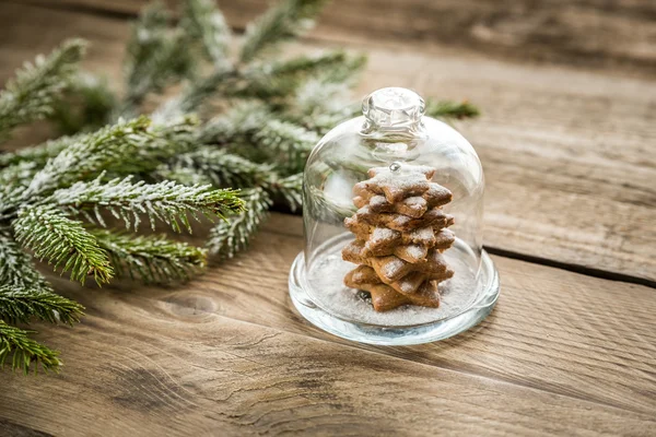 Hemlagade söt julgran under en glaskupol — Stockfoto