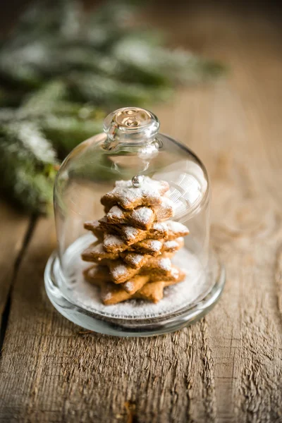Hemlagade söt julgran under en glaskupol — Stockfoto
