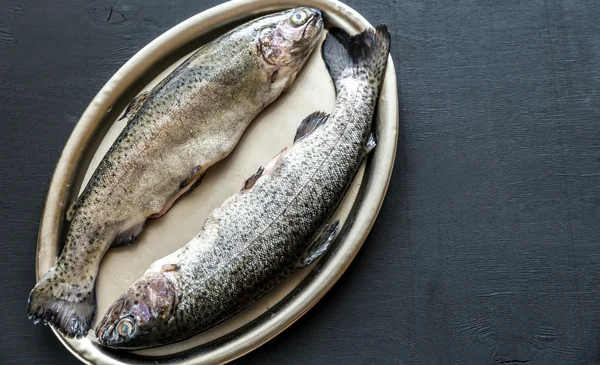 Färska trouts på vintage metall bricka — Stockfoto